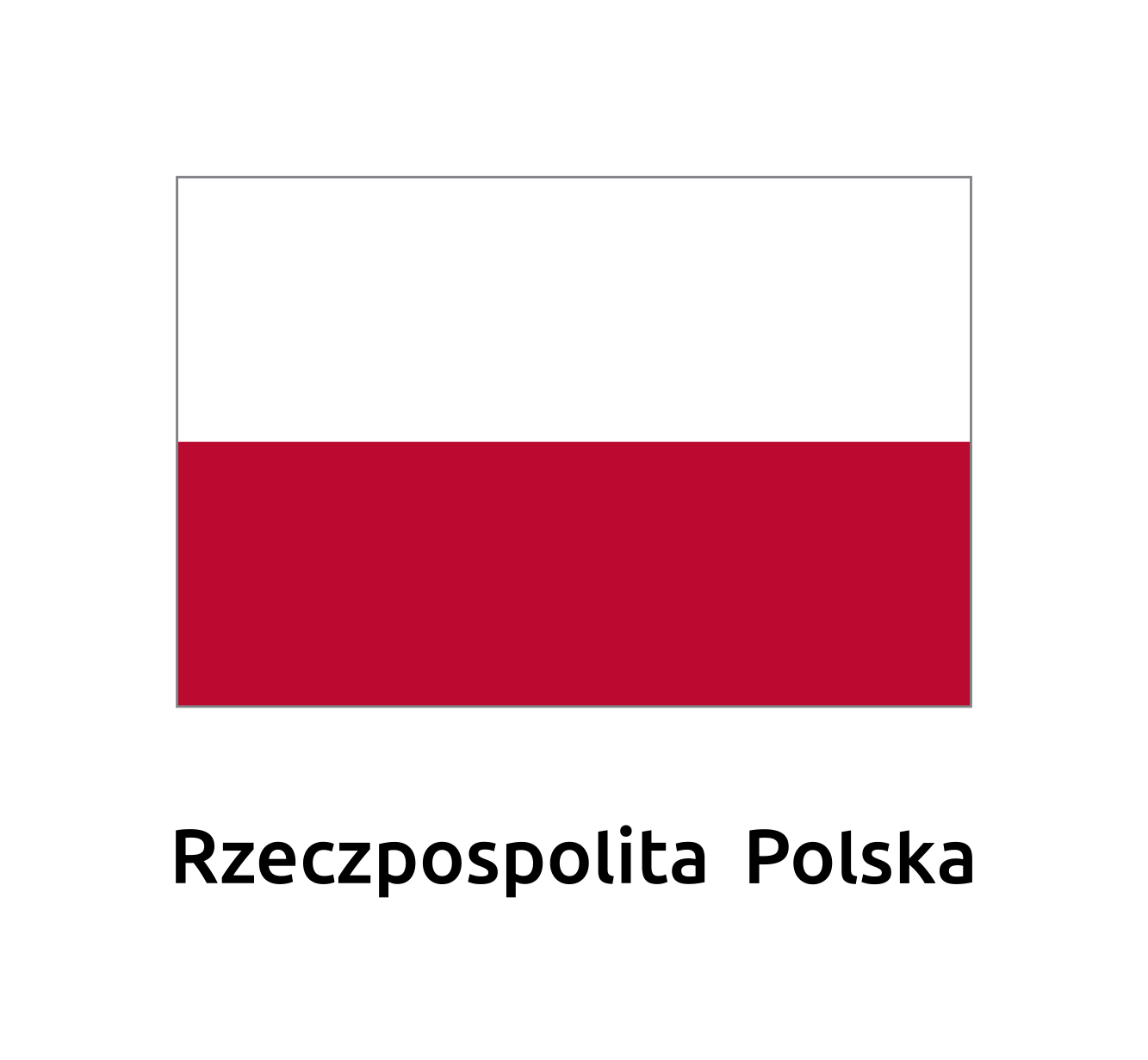 Logo flaga Rzeczpospolita Polska